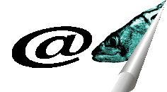 mailto:contact@mafish.de