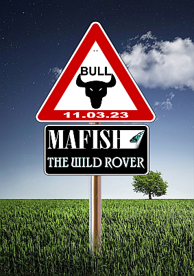 Rover mit Bull