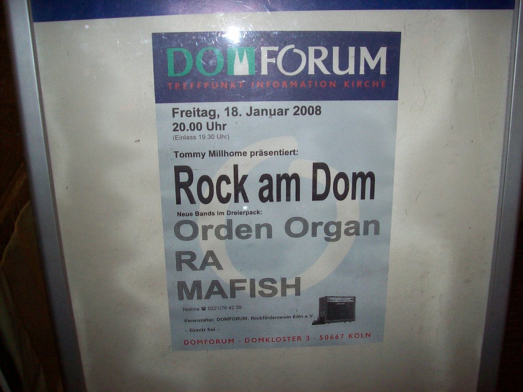 Domforum 2008